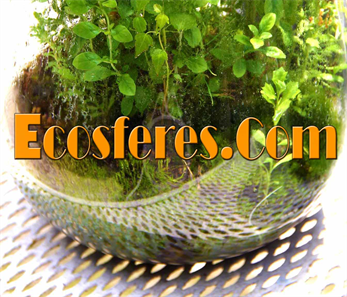 WWW.ECOSFERES.COM