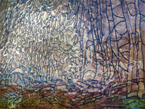 Paintings That Actually Grow
Multidimensional Artist DAPACU
Finest Austin Texas Art Artist