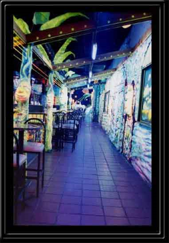 Order Art Created For Your Restaurant, Bar Or Shop,
Order Art Created For Your Home, Garden & Decor.
Multidimensional Artist in Belterra, Dripping Springs,
BeeCave.Net * MuseuminAustin.Com * AMAZING!